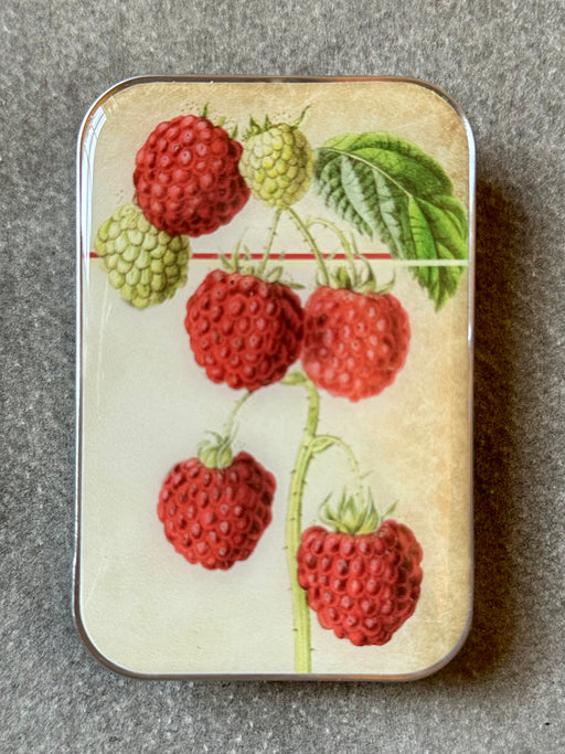 "Raspberry" Notions Tin