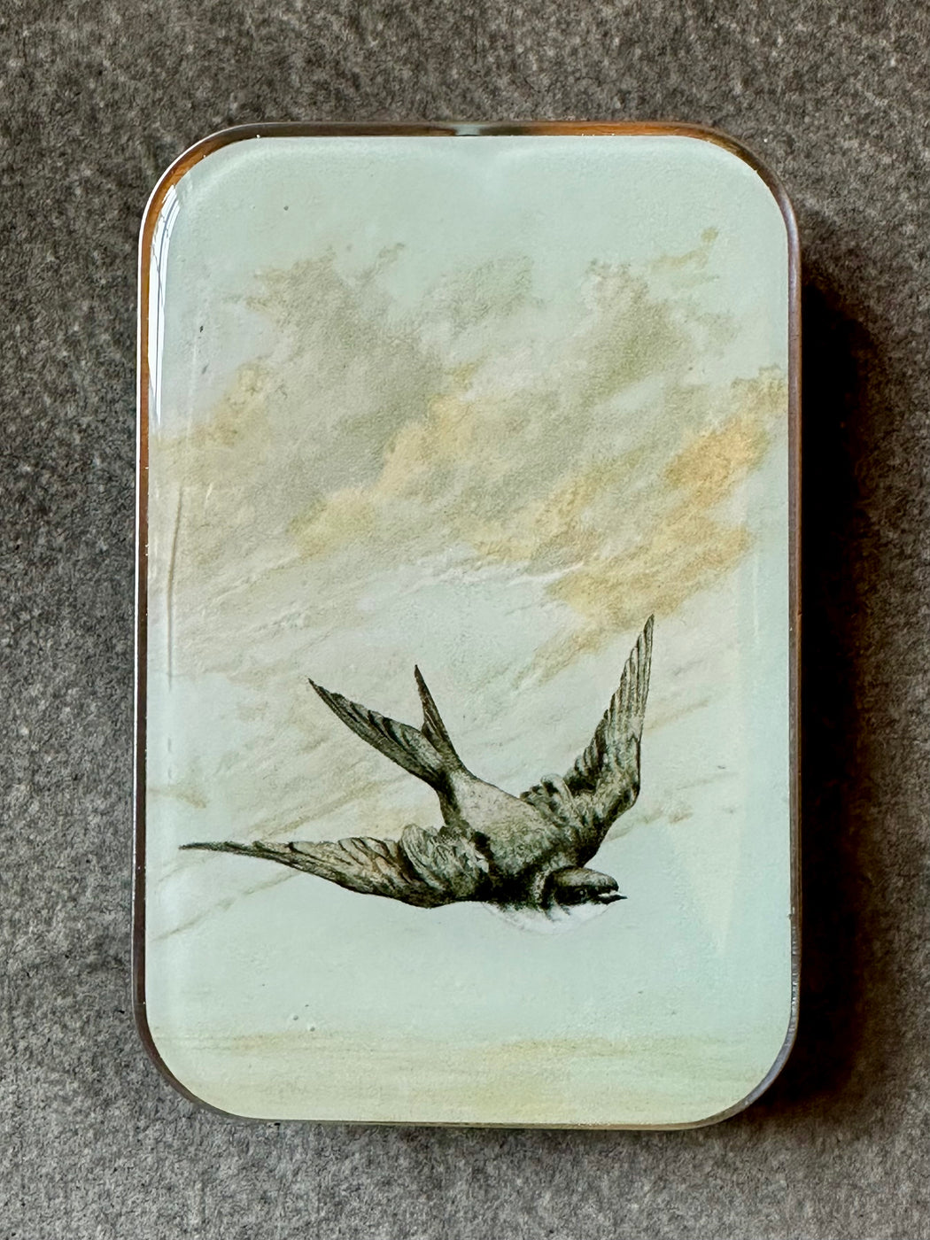 "Swallow" Notions Tin