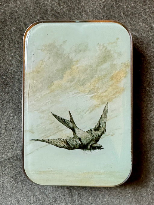 "Swallow" Notions Tin