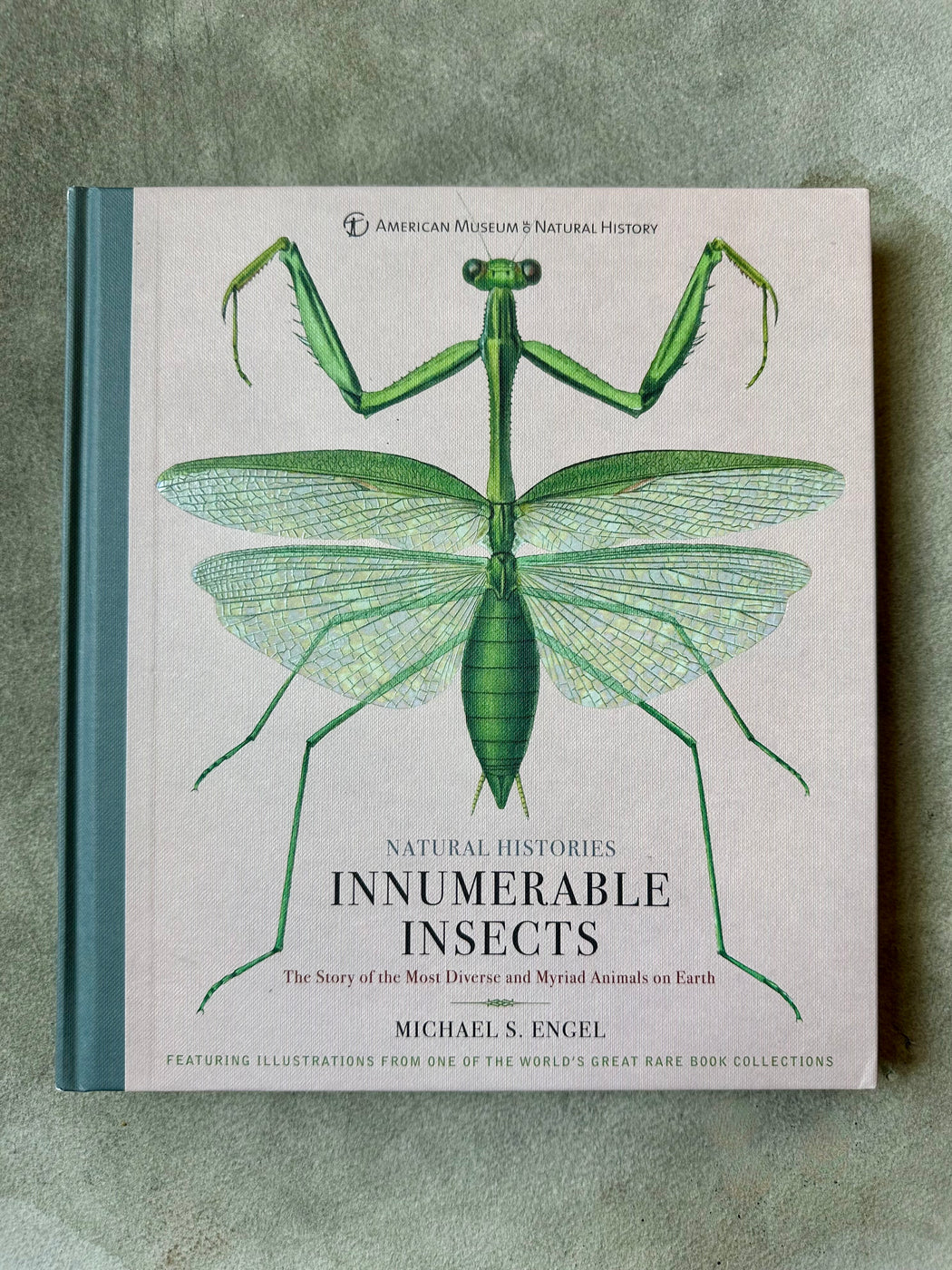 "Innumerable Insects" by Michael S. Engel