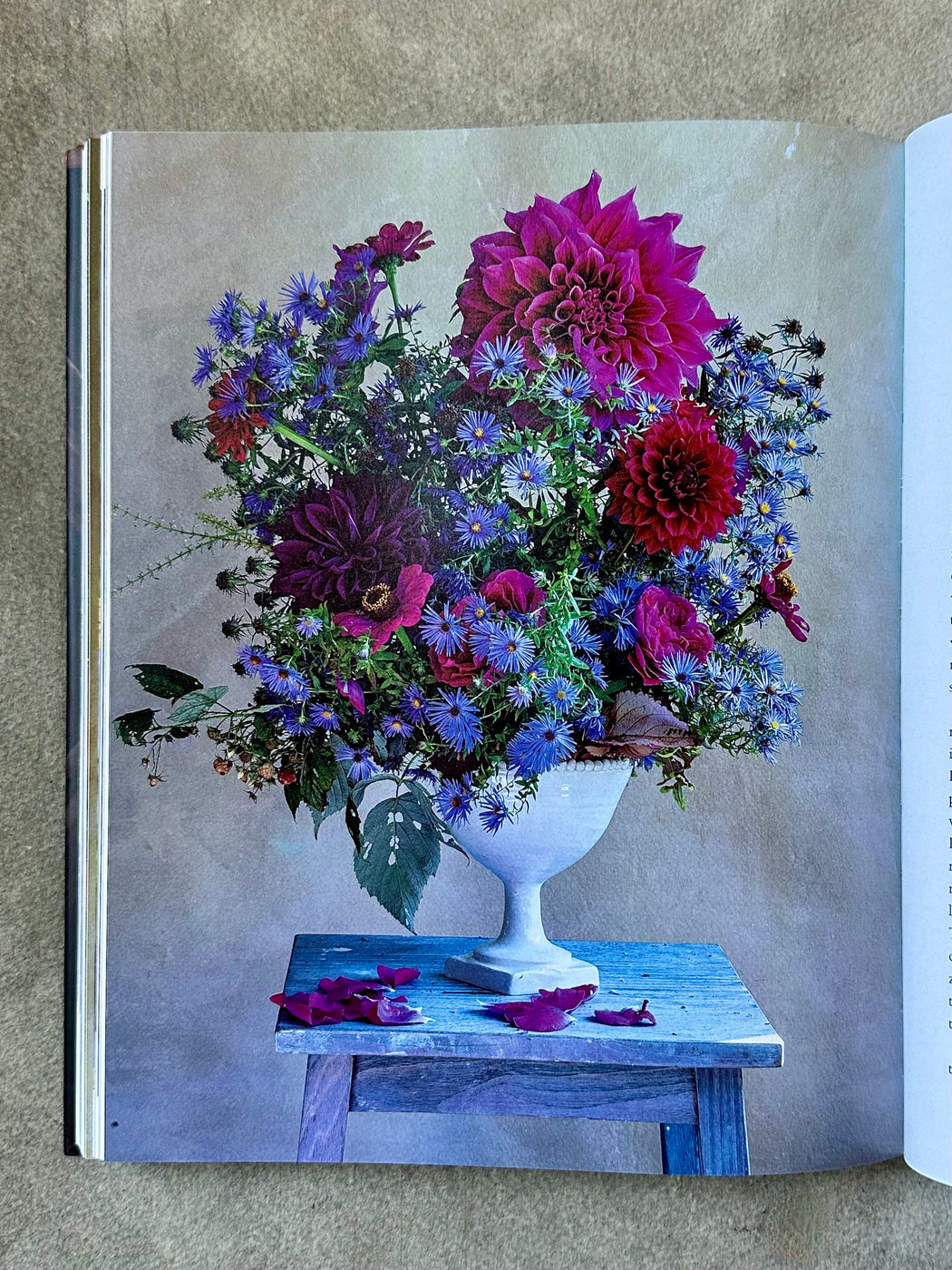 "Life with Flowers" by Frances Palmer
