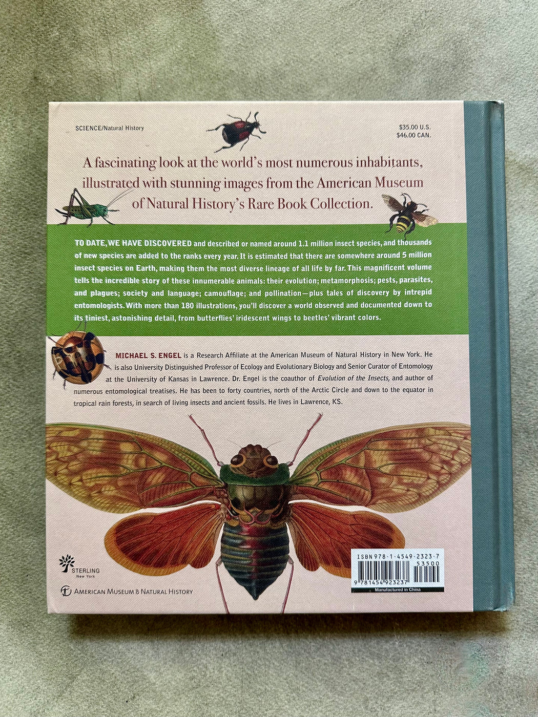 "Innumerable Insects" by Michael S. Engel