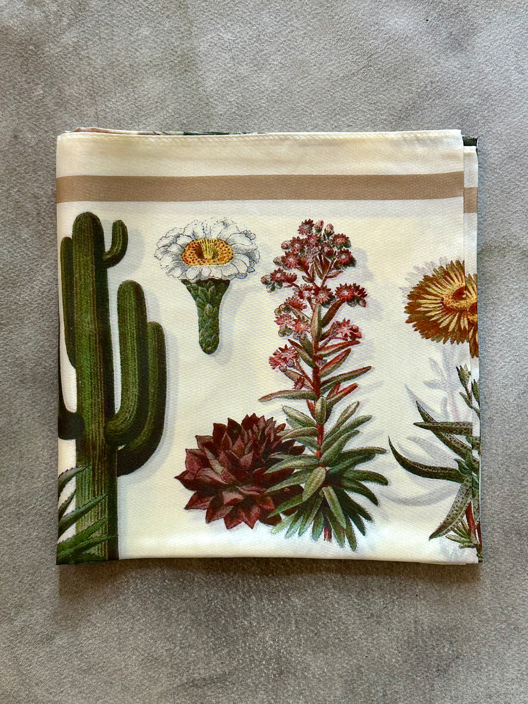 "Desert Cactus" Silk Scarf by Curious Prints