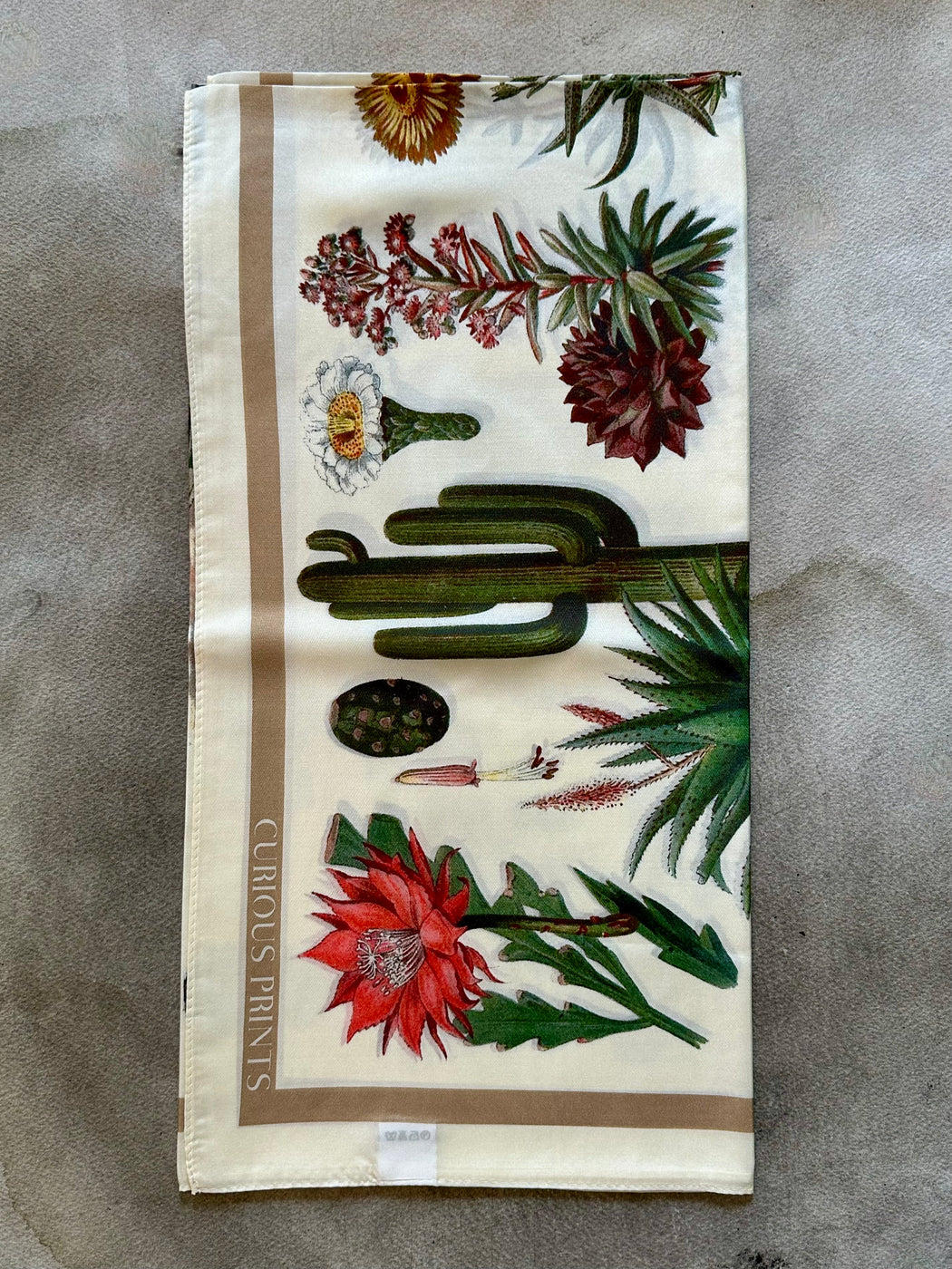 "Desert Cactus" Silk Scarf by Curious Prints