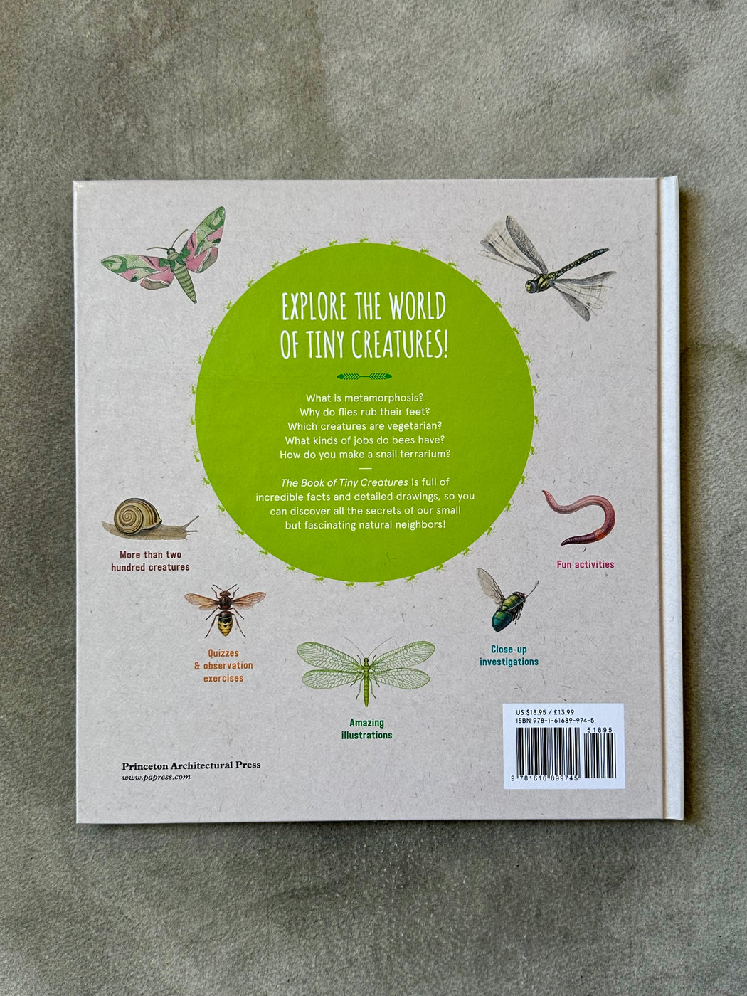 "The Book of Tiny Creatures" by Nathalie Tordjman