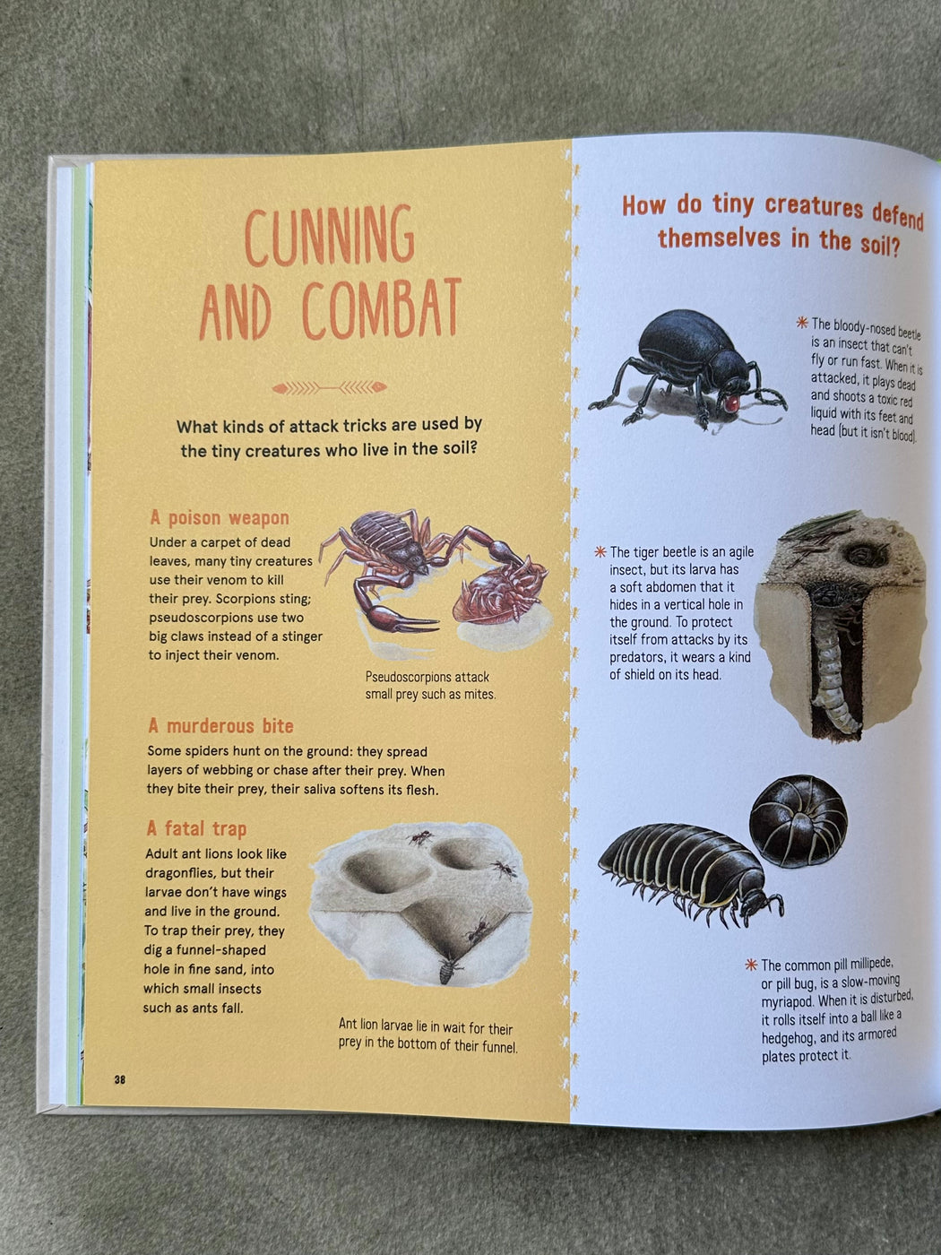 "The Book of Tiny Creatures" by Nathalie Tordjman
