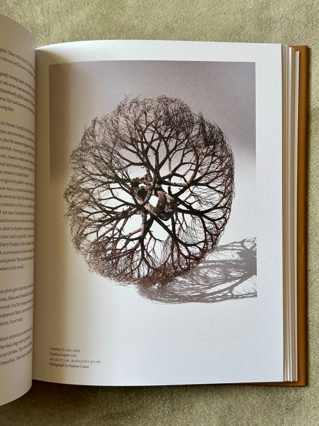 "Everything She Touched: The Life of Ruth Asawa" by Marilyn Chase