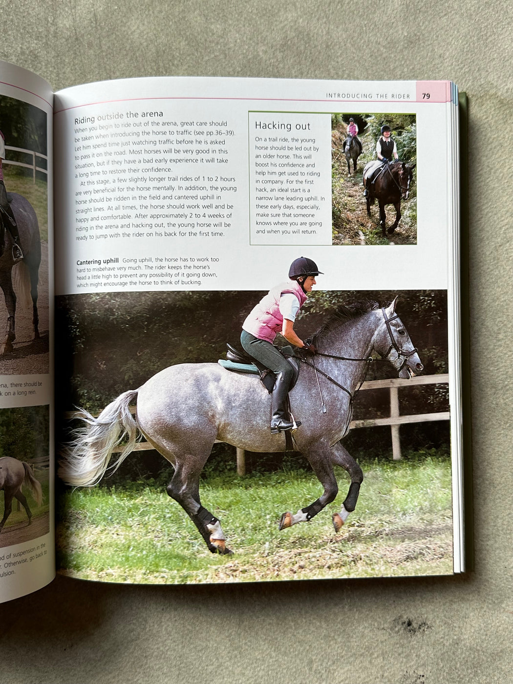 "Complete Horse Riding Manual" by William Micklem