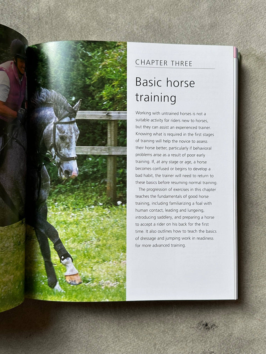 "Complete Horse Riding Manual" by William Micklem