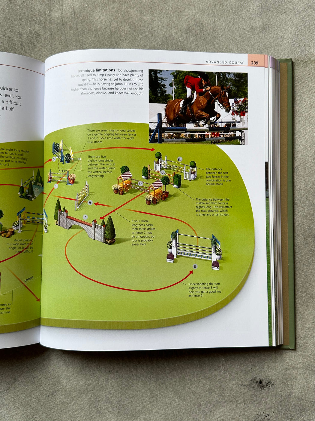 "Complete Horse Riding Manual" by William Micklem