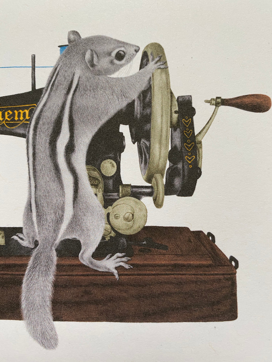 "Charlotte Livingston Eastern Chipmunk" Card