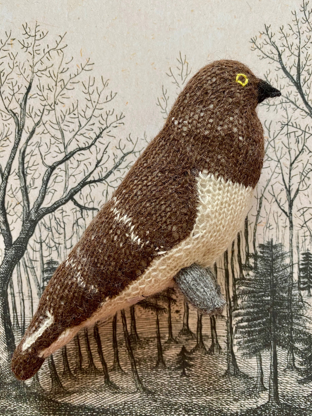 Hand-Knitted Mourning Dove