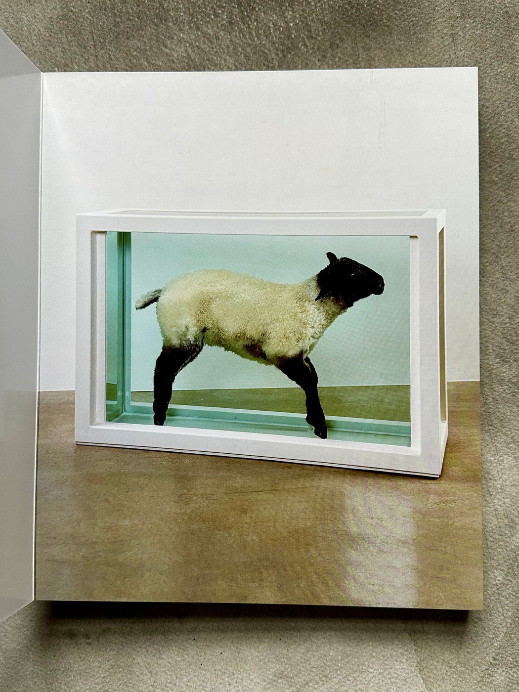 "ABC" by Damien Hirst