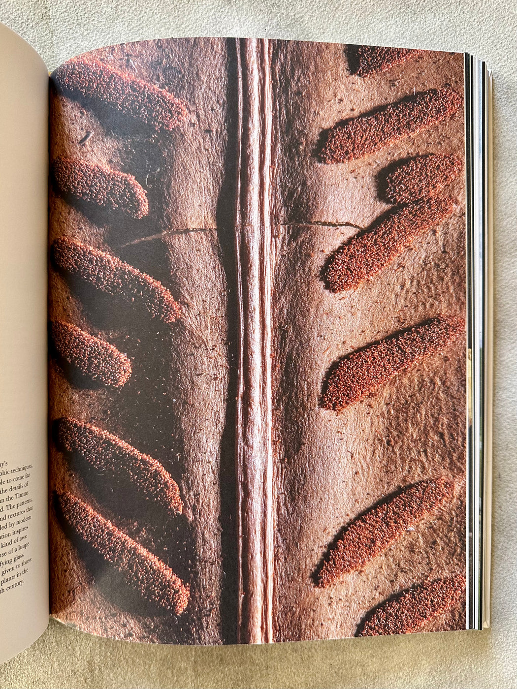 "Collecting Nature" by Clive Aslet and Svante Helmbaek Tiren