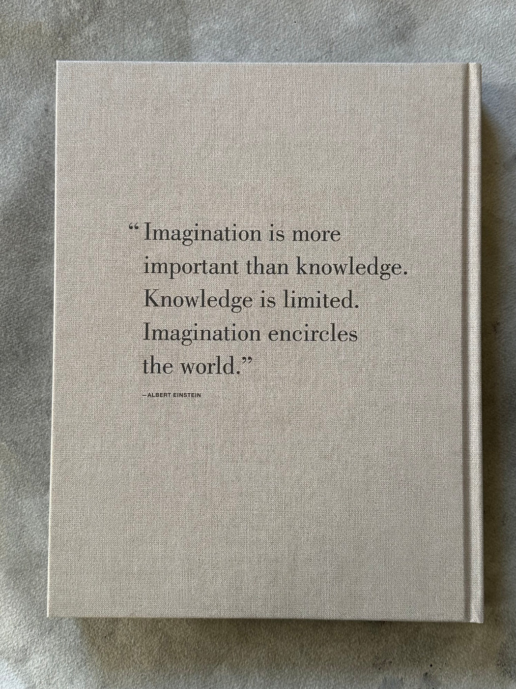 "Einstein" by Michael DeRuggiero and Hanoch Gutfreund