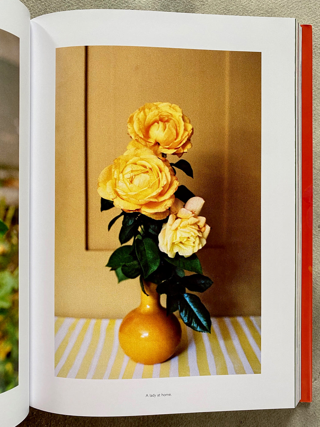 "On Flowers" by Amy Merrick