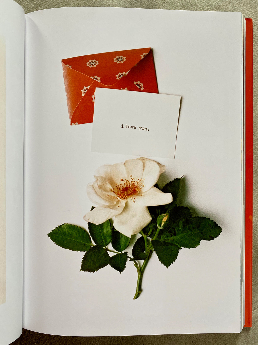 "On Flowers" by Amy Merrick