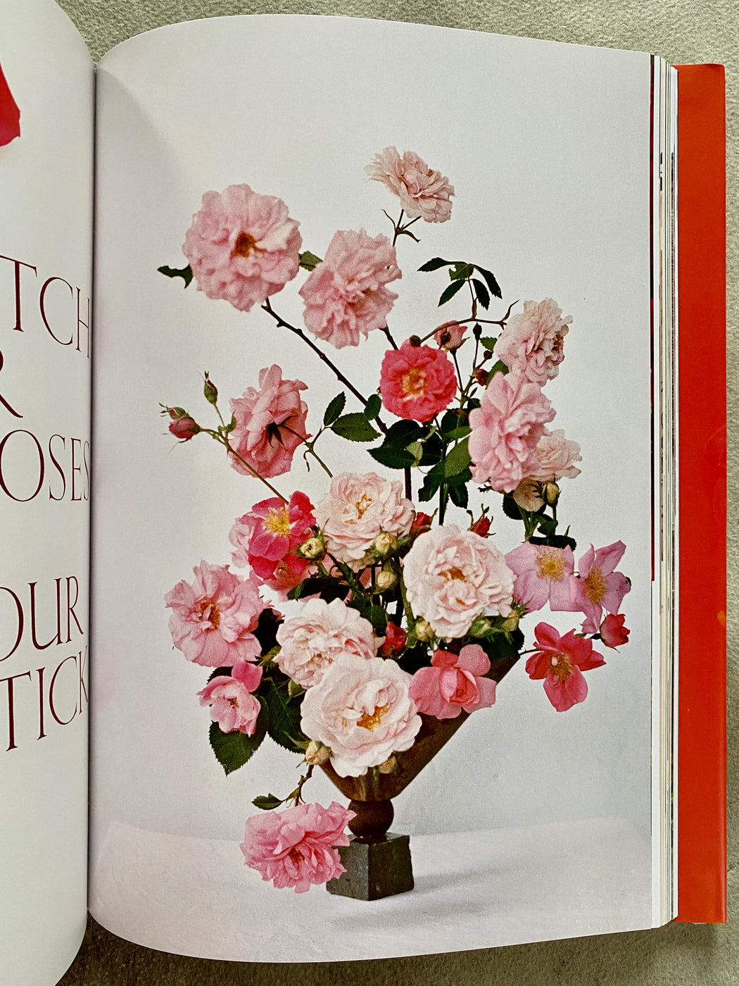 "On Flowers" by Amy Merrick