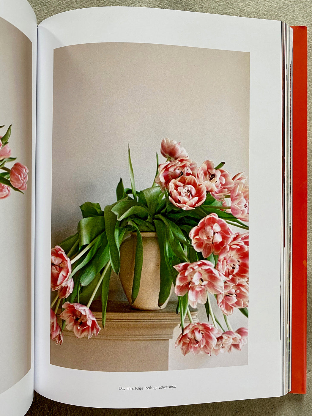 "On Flowers" by Amy Merrick