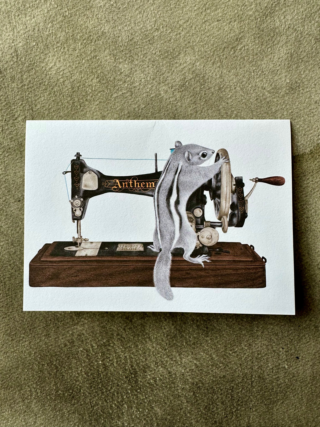 "Charlotte Livingston Eastern Chipmunk" Card