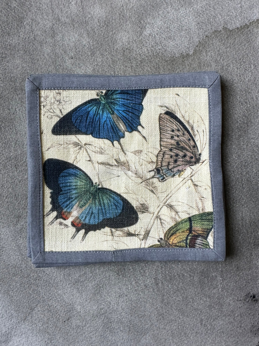 "Butterfly"" Cocktail Napkins by Siren Song