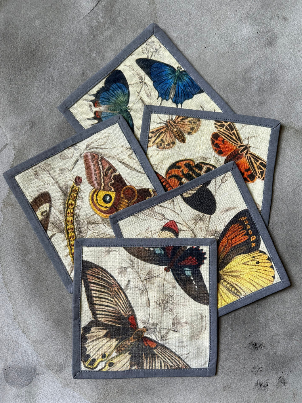 "Butterfly"" Cocktail Napkins by Siren Song