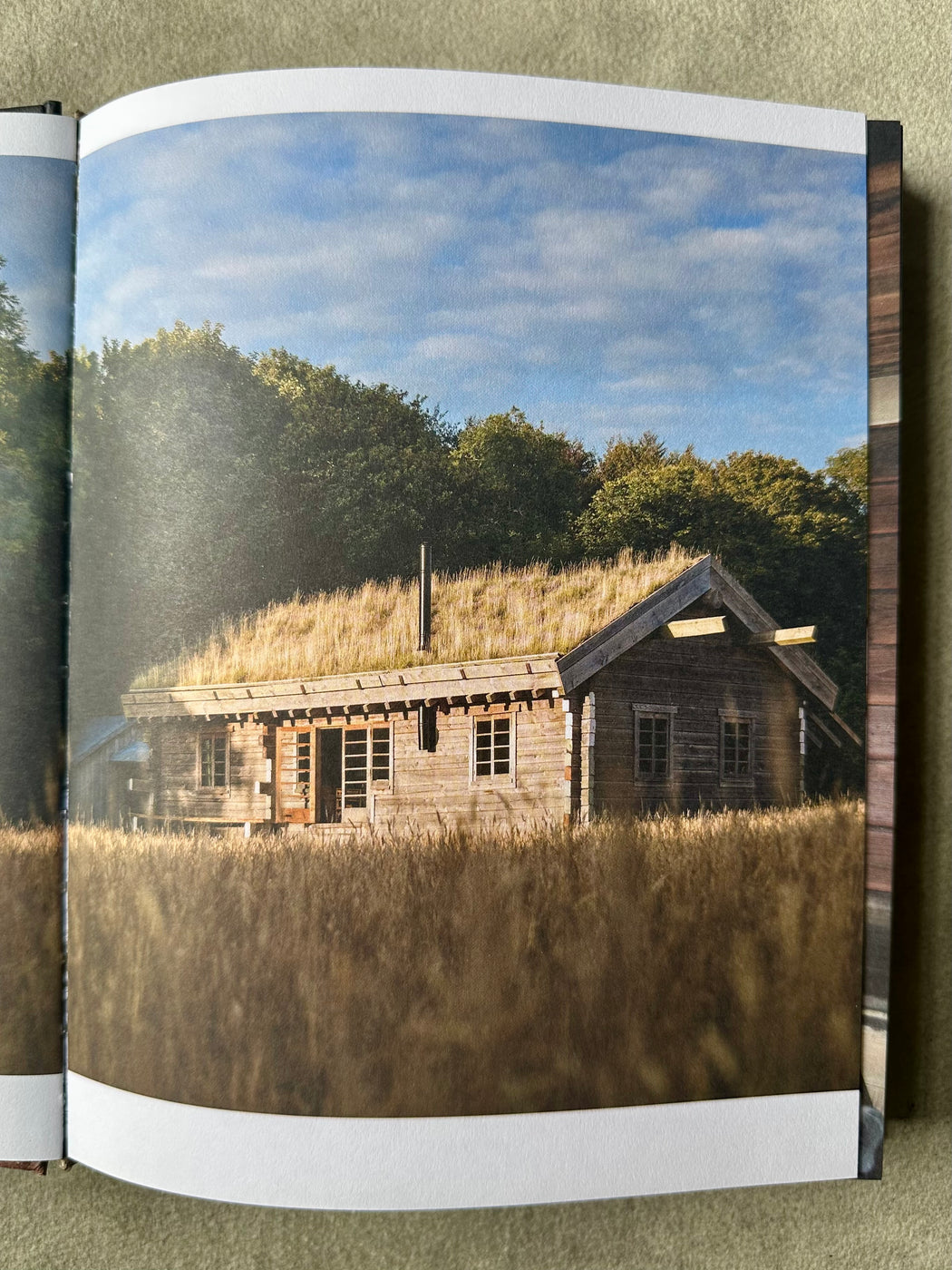 "Cabin Porn Inside" by Zack Klein