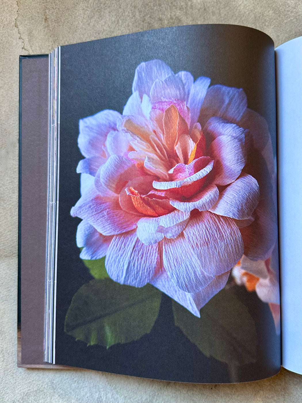 "The Fine Art of Paper Flowers" by Tiffanie Turner