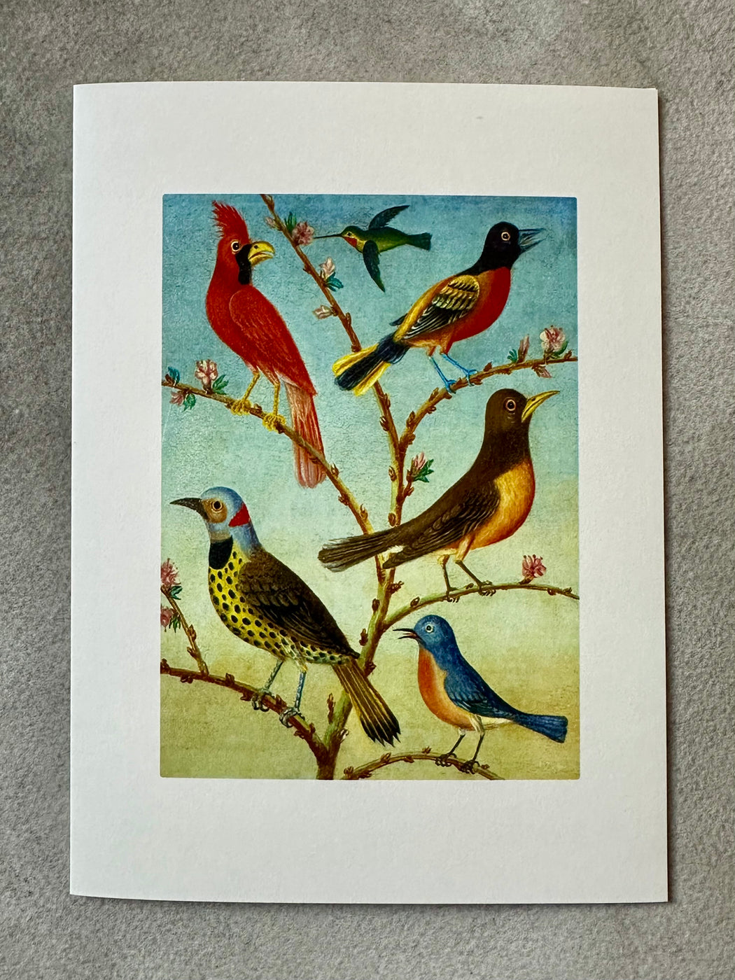 "Birds" Greeting Card