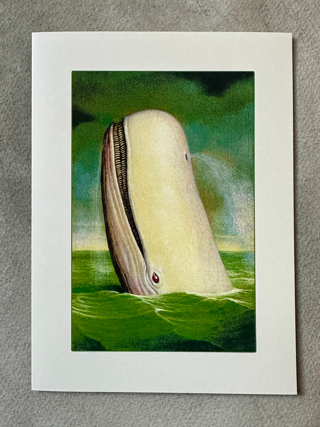 "White Whate" Greeting Card