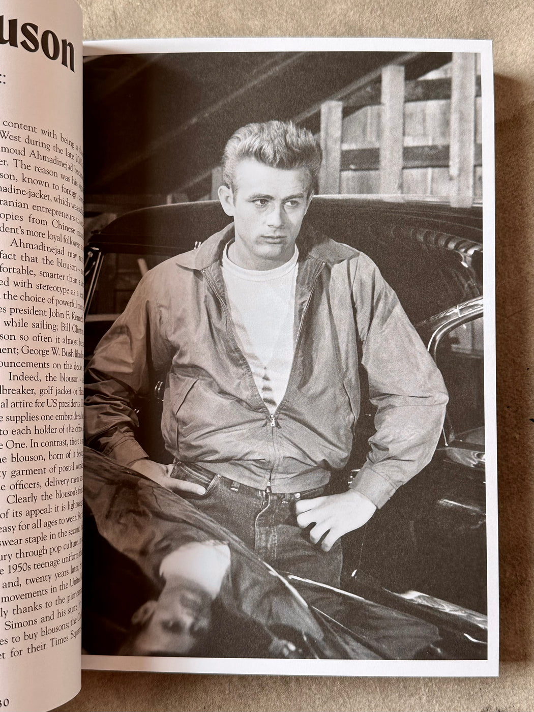 "Icons of Style" by Josh Sims