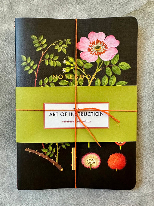 The Art of Instruction Notebook Collection