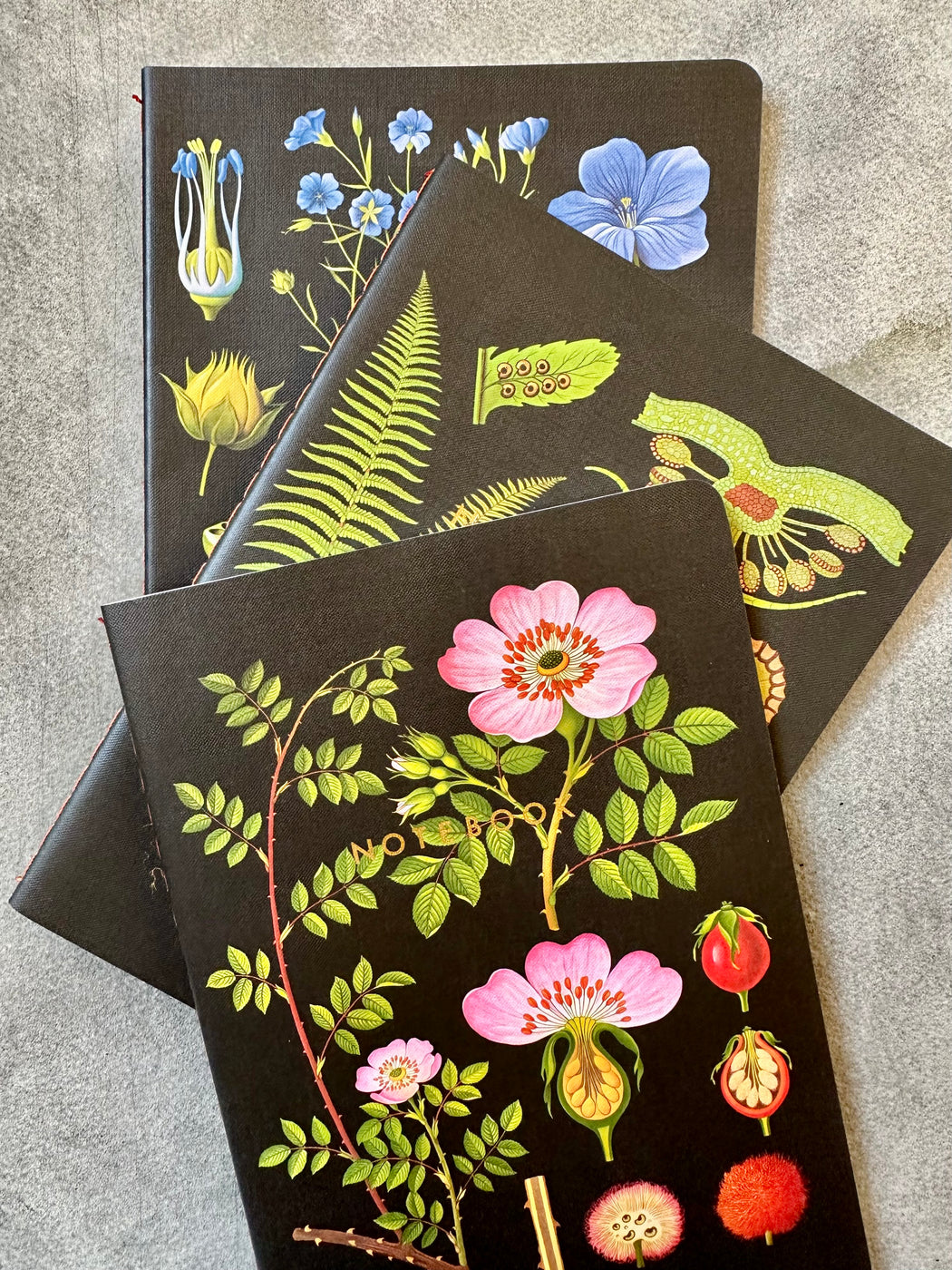 The Art of Instruction Notebook Collection