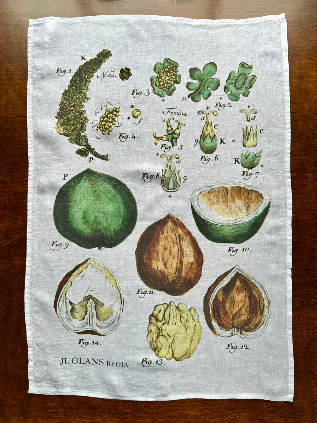 "Walnut" Tea Towel