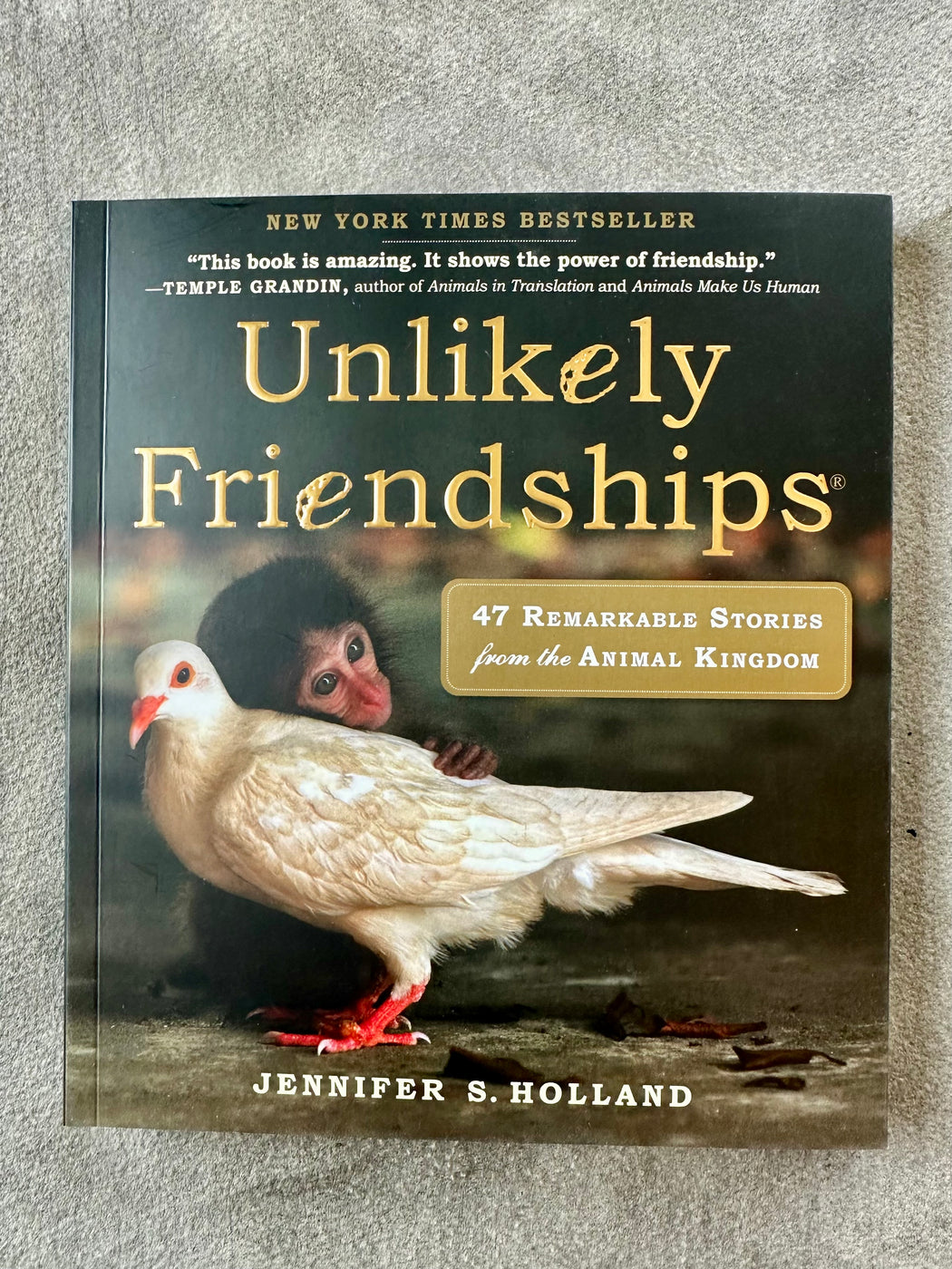 "Unlikely Friendships" by Jennifer Holland