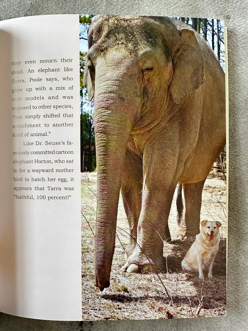 "Unlikely Friendships" by Jennifer Holland