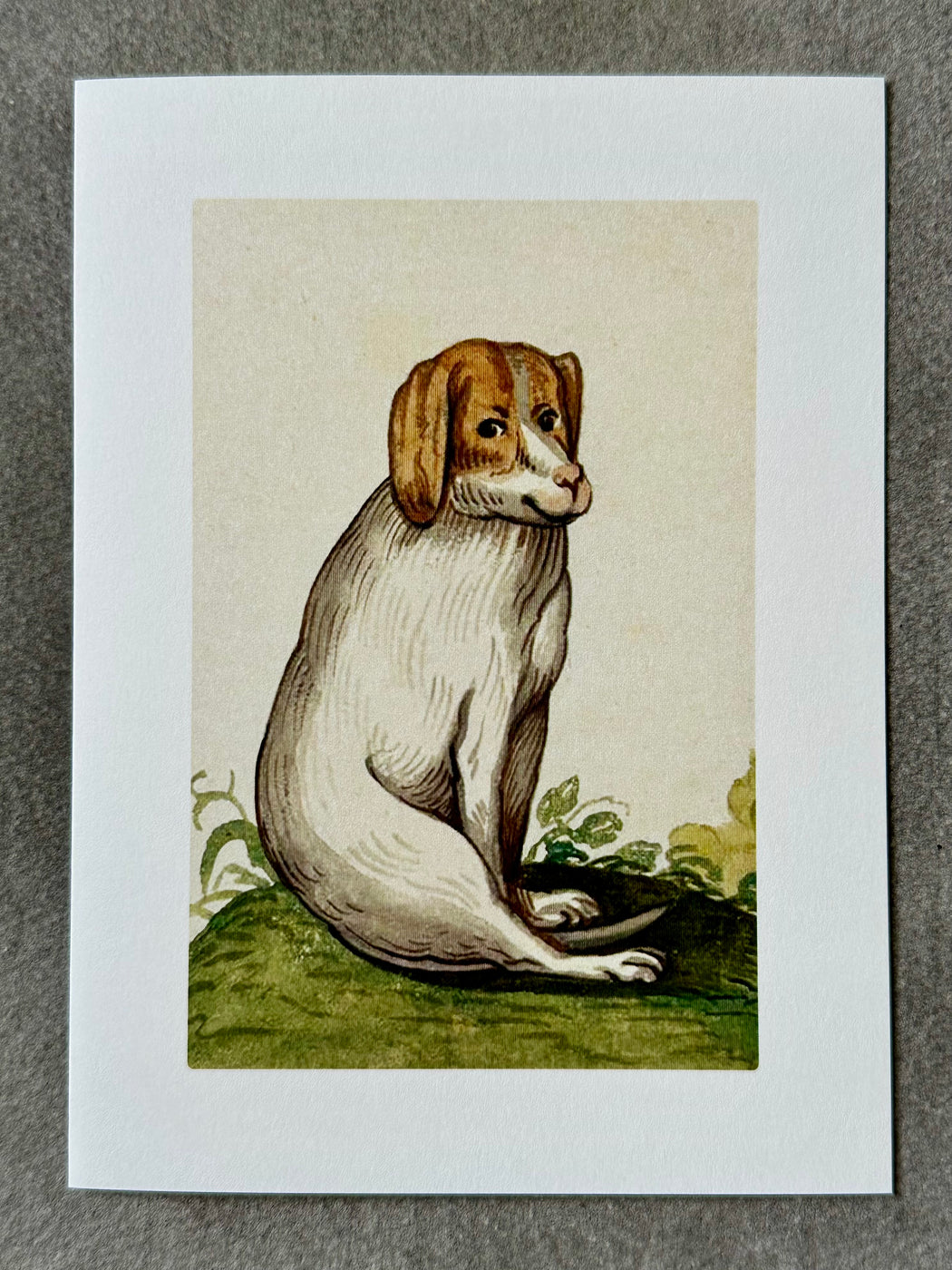 "Kind Dog" Card