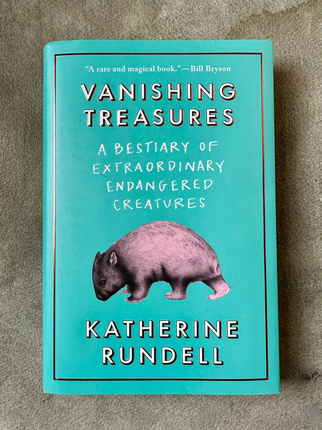 "Vanishing Treasures" by Katherine Rundell