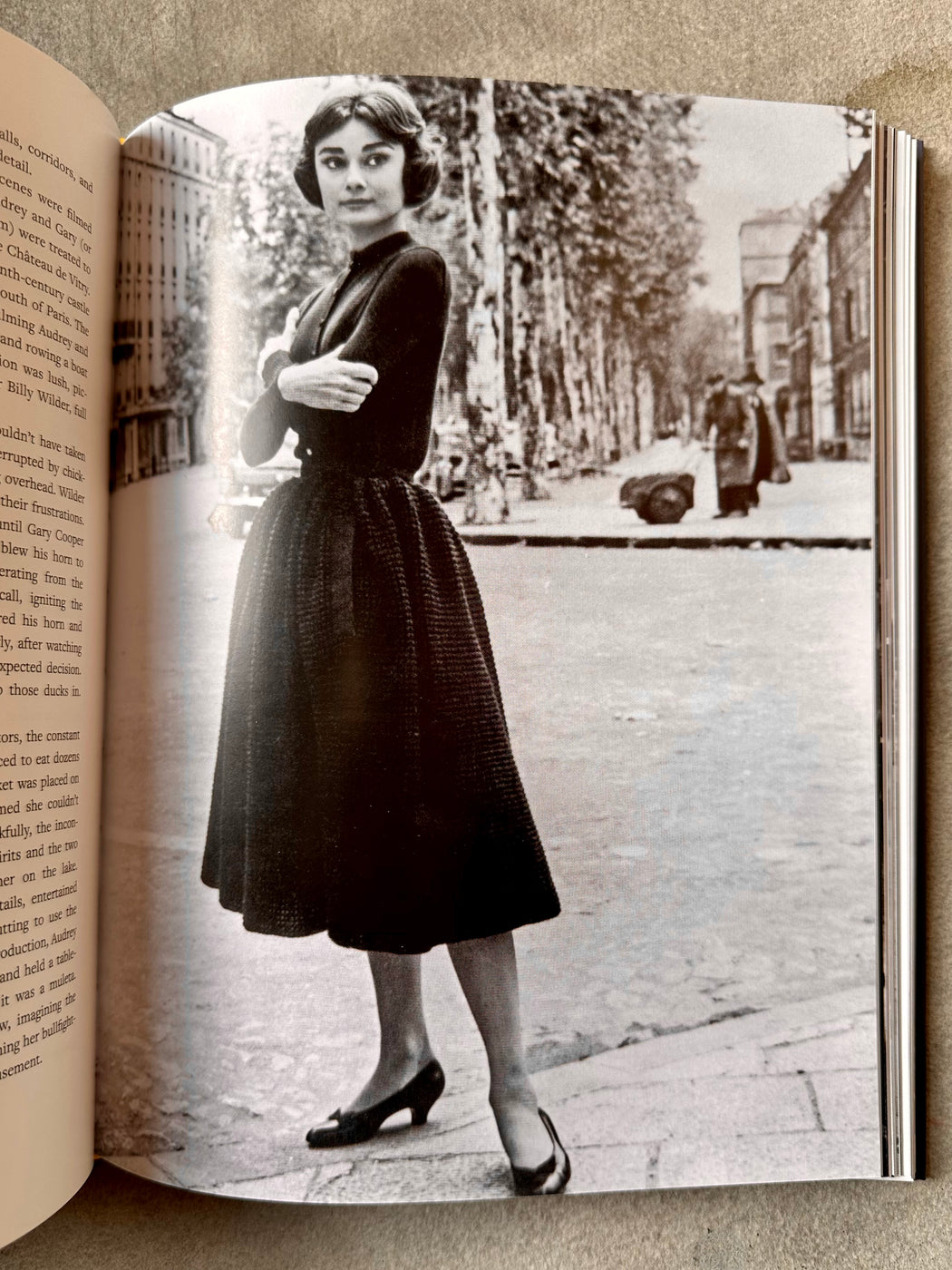 "Audrey Hepburn in Paris" by Meghan Friedlander