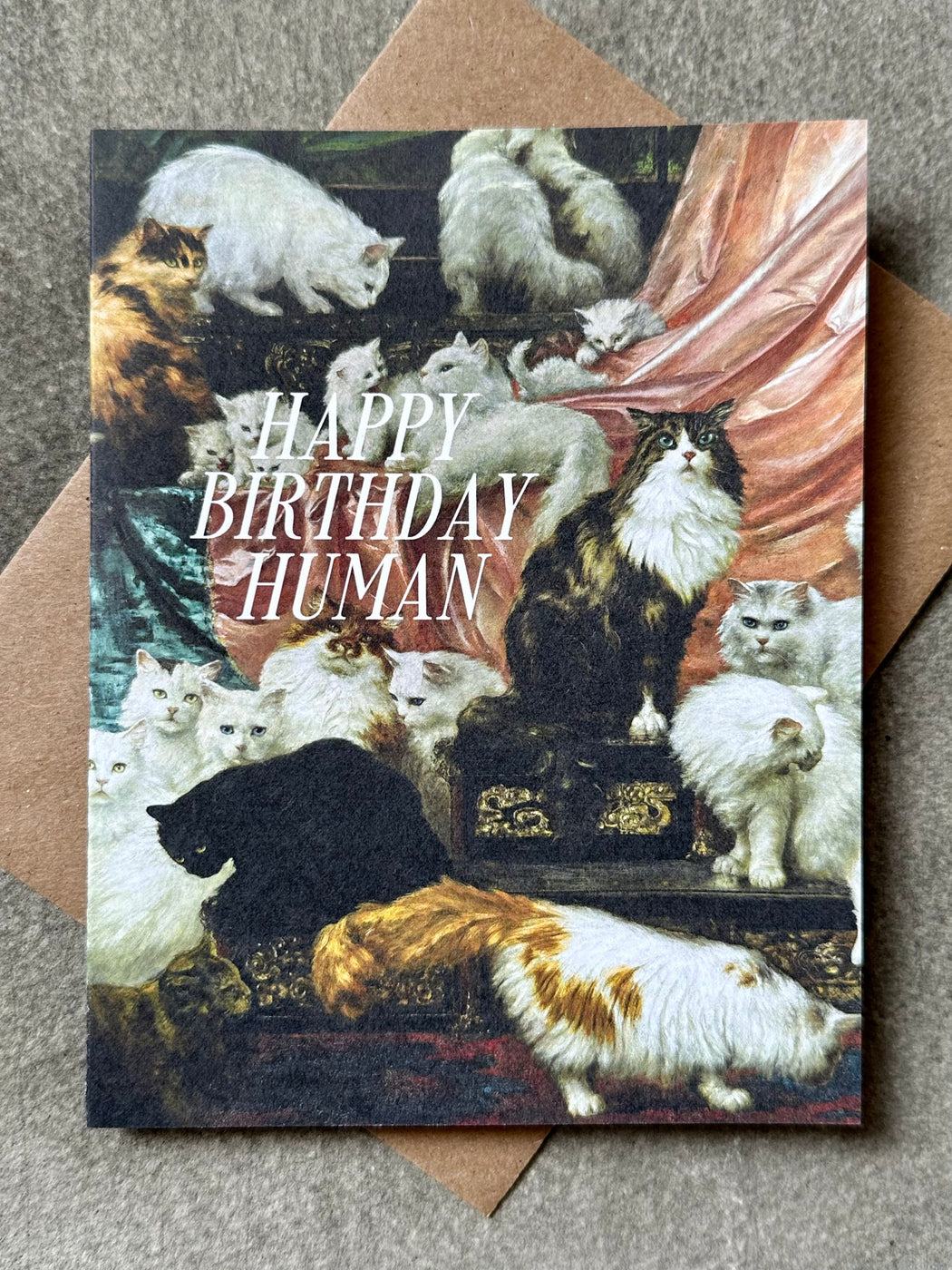 "Happy Birthday Human" Card