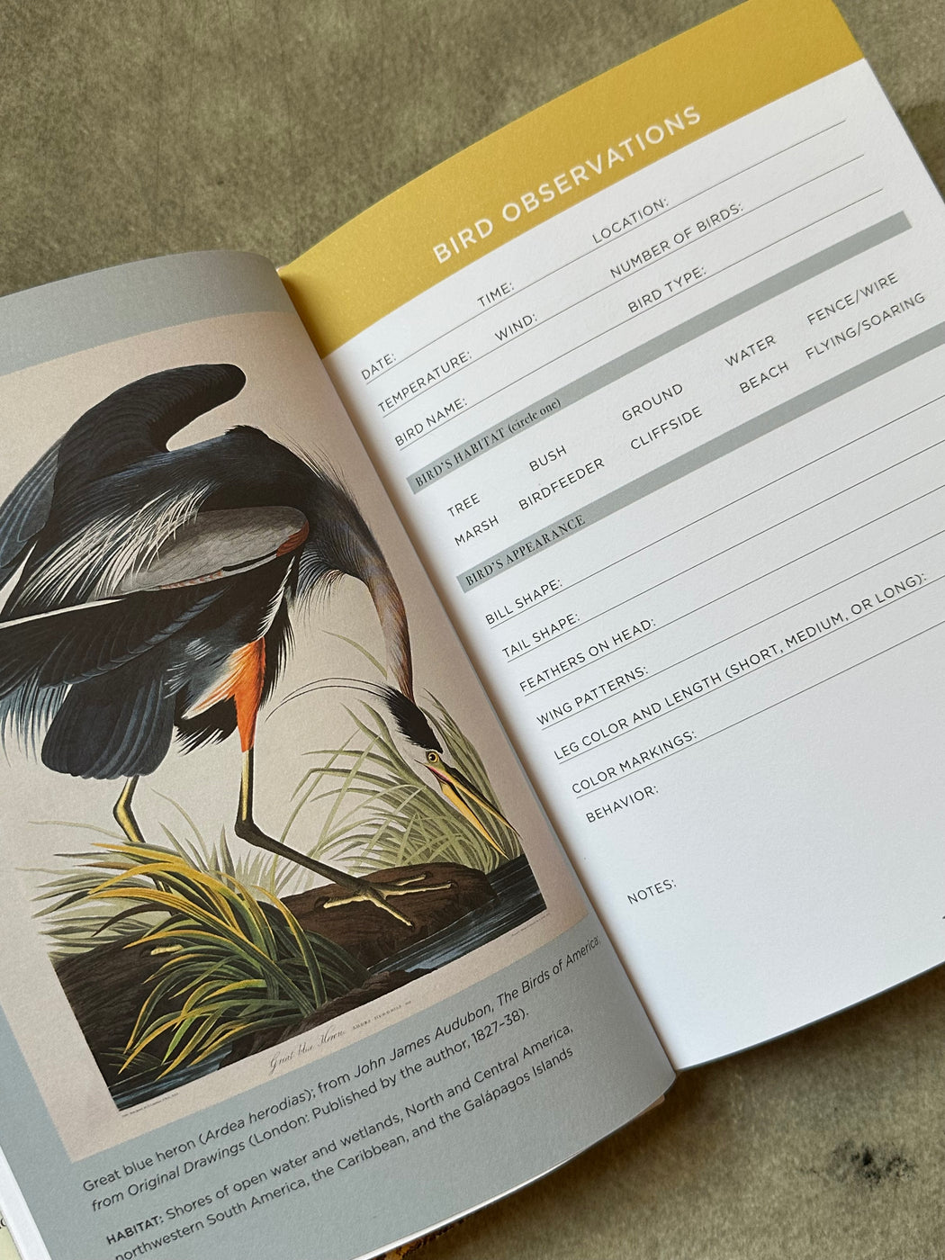 The Birdwatcher's Field Journal