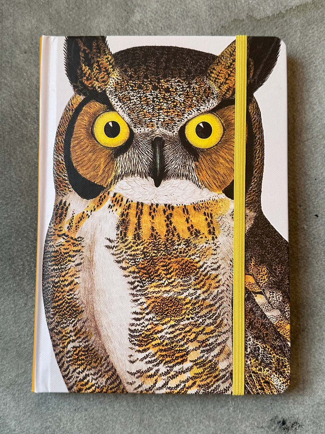 The Birdwatcher's Field Journal