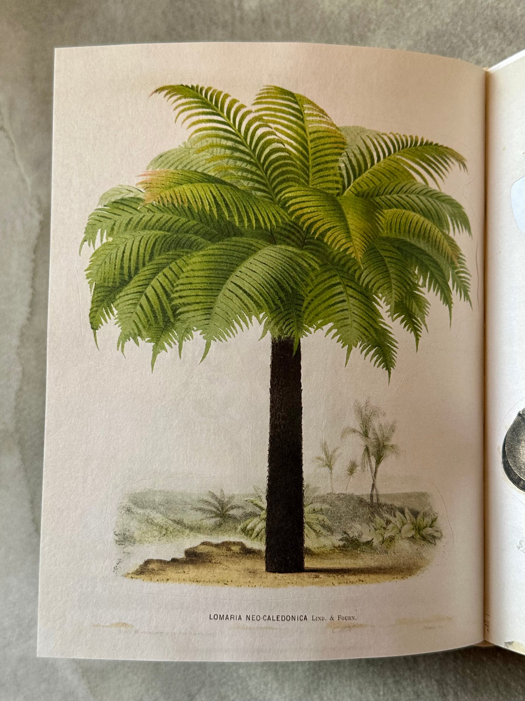John Derian Sticker Book