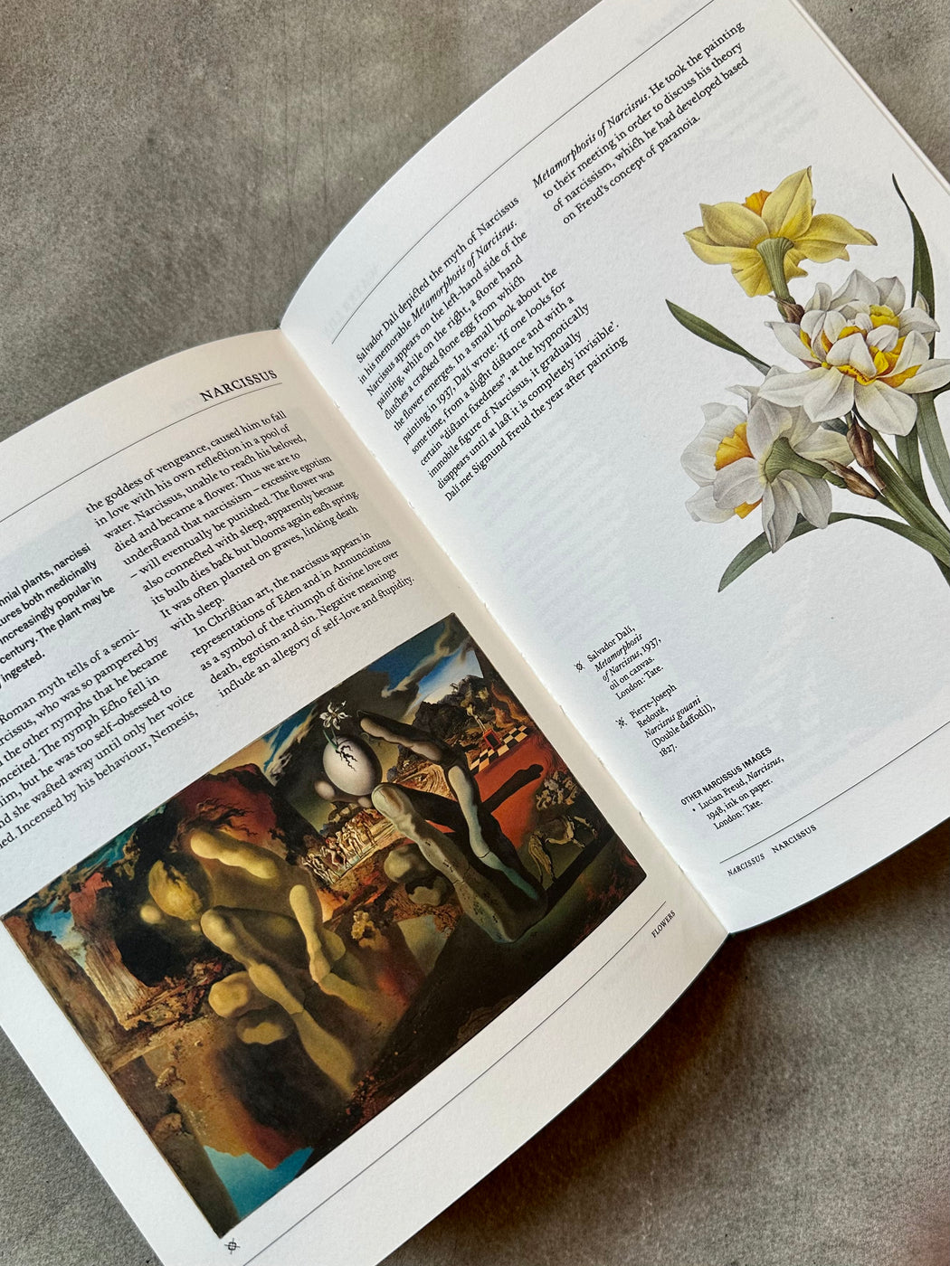 "Flora: The Secret Language of Plants in Art"