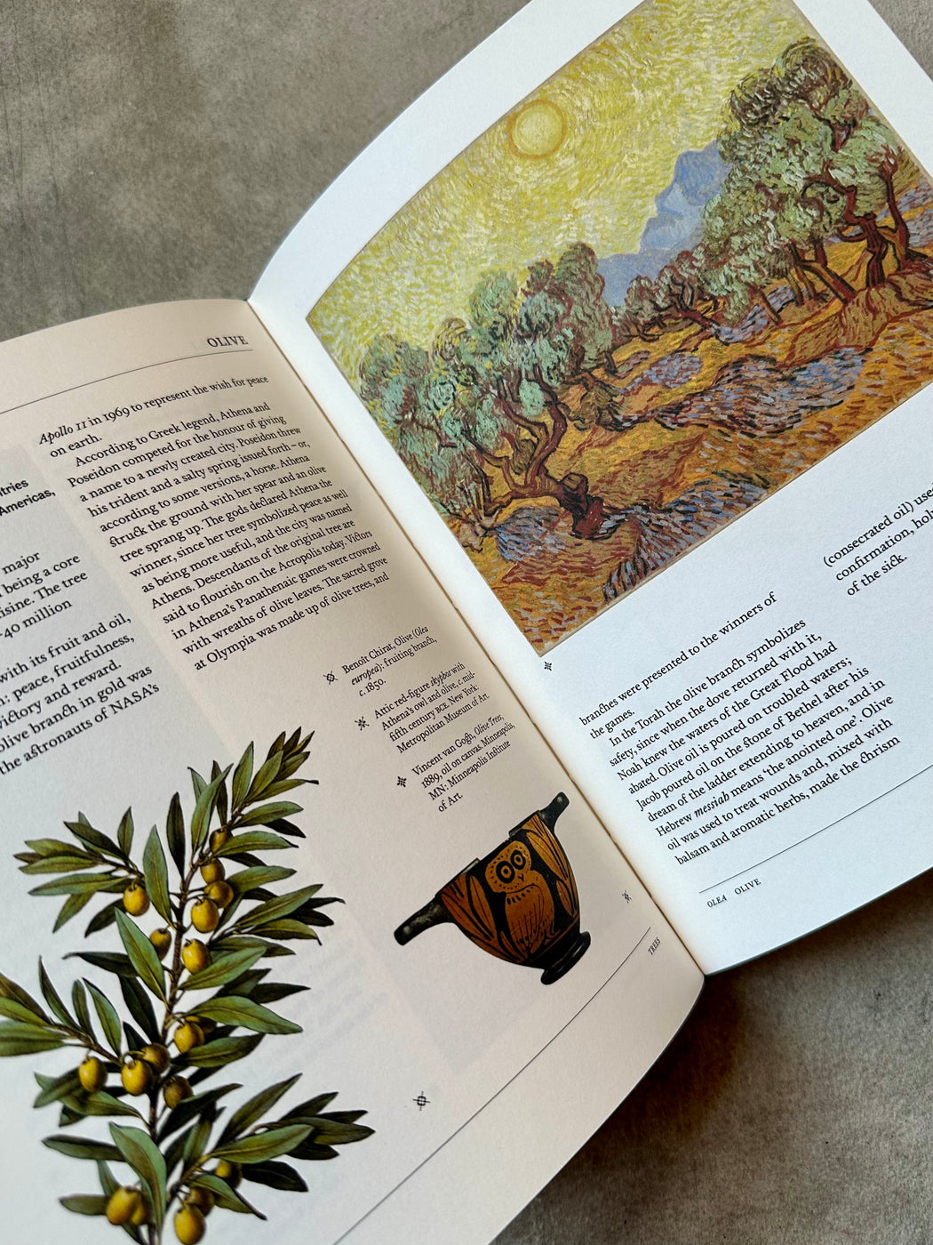 "Flora: The Secret Language of Plants in Art"