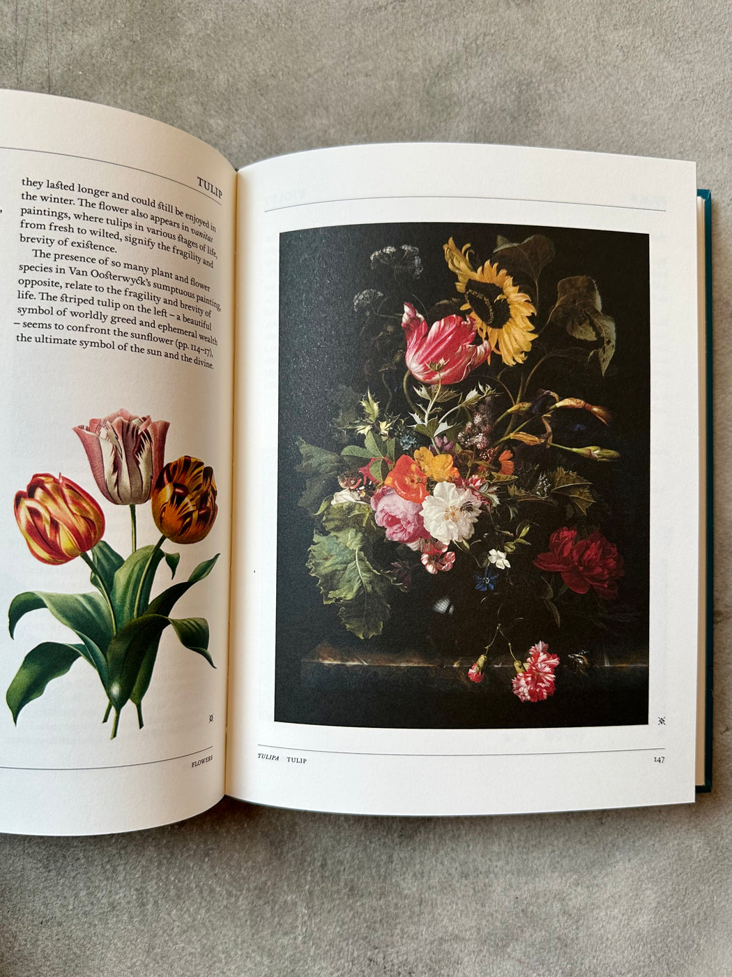 "Flora: The Secret Language of Plants in Art"