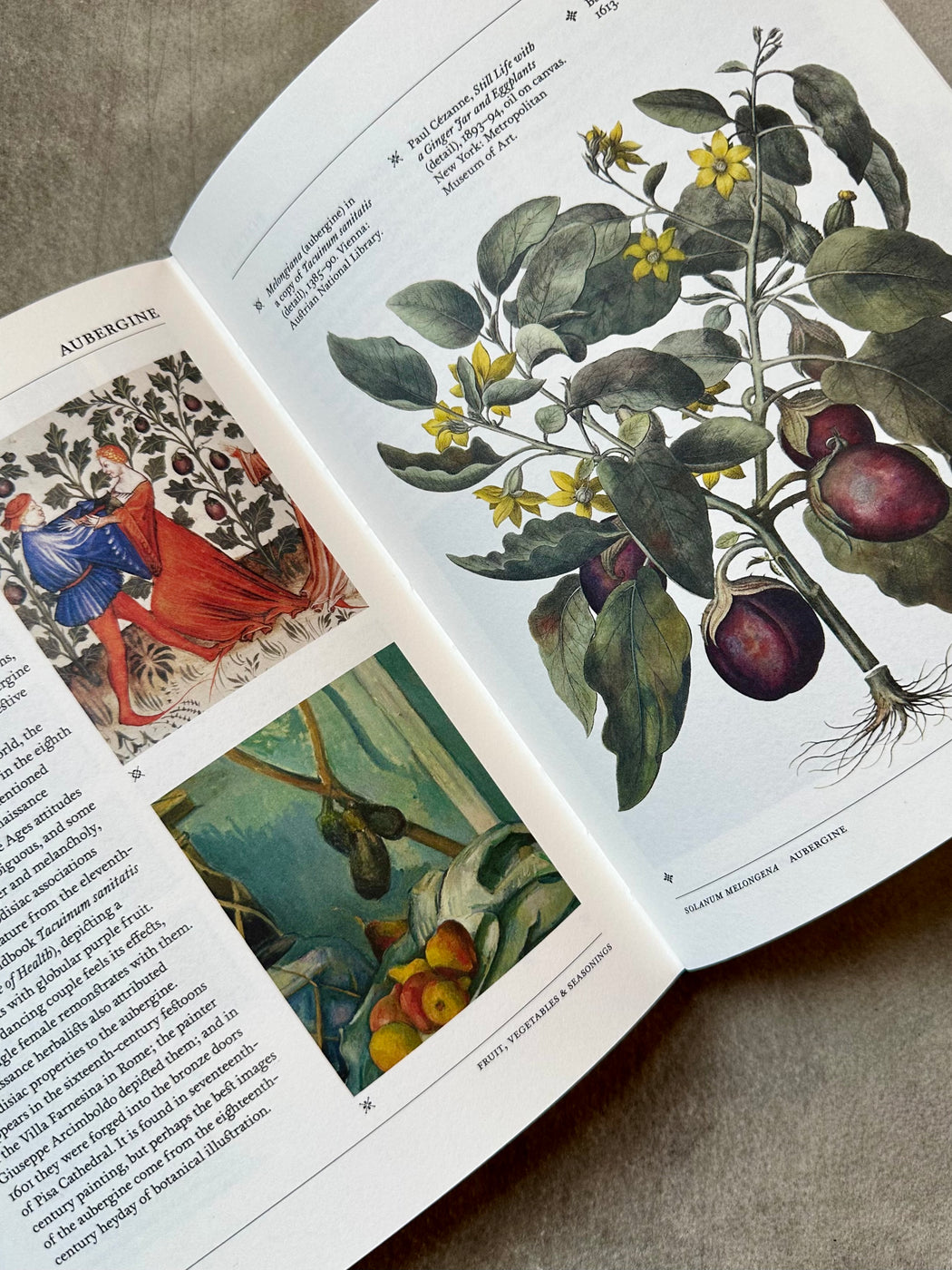 "Flora: The Secret Language of Plants in Art"
