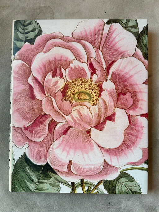 John Derian Picture Book II