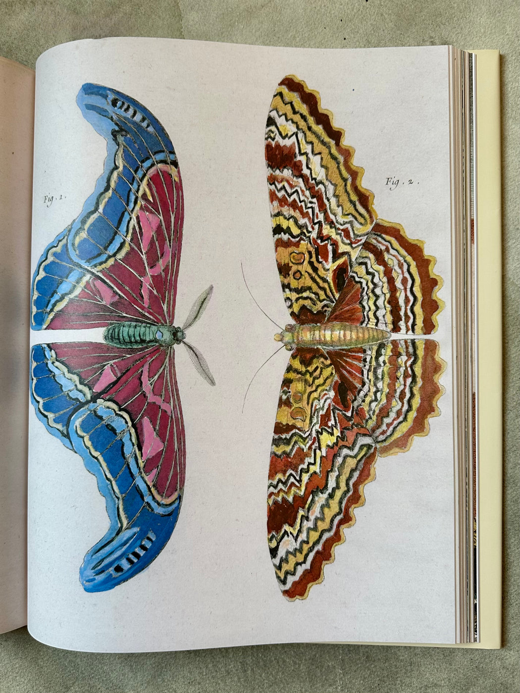 John Derian Picture Book II