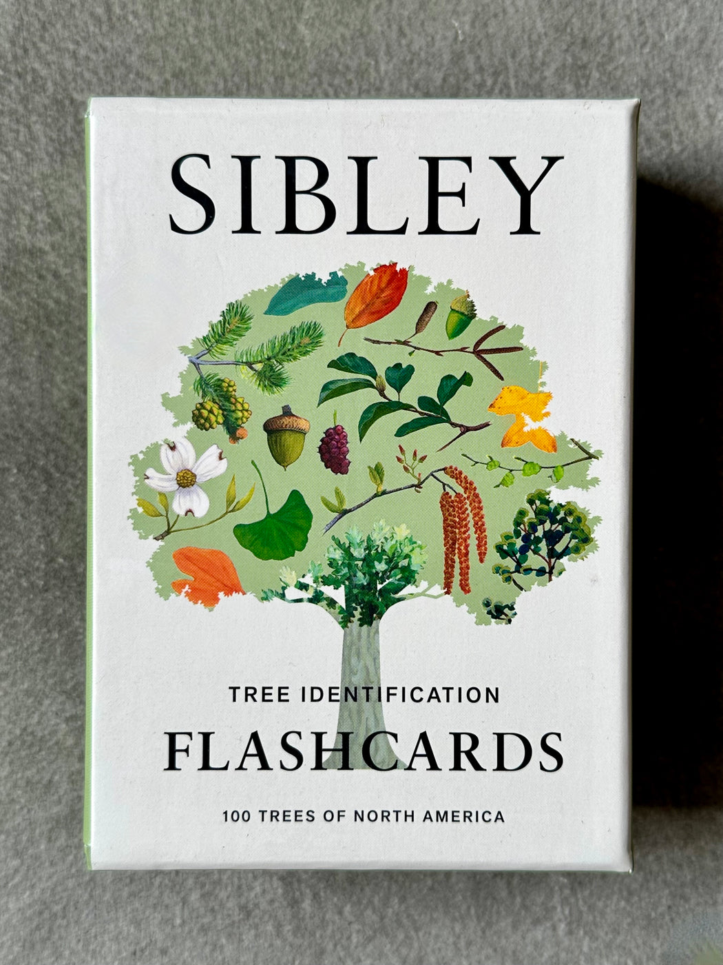 Sibley "Tree Identification" Flash Cards